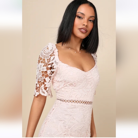 NWT Briarwood Blush Pink Lace Ruffled Midi Dress - Picture 4 of 8